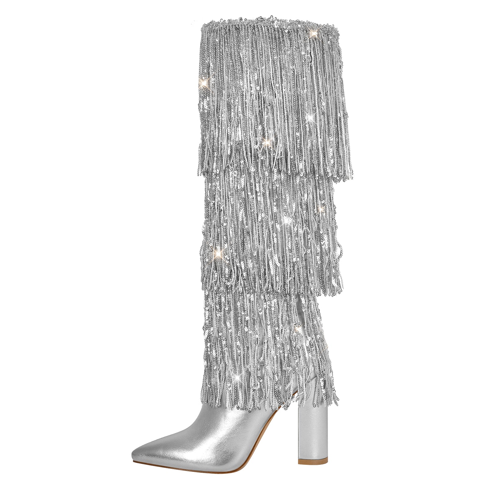 Pointed Toe Chunky Heel Fringe Sequin Boots