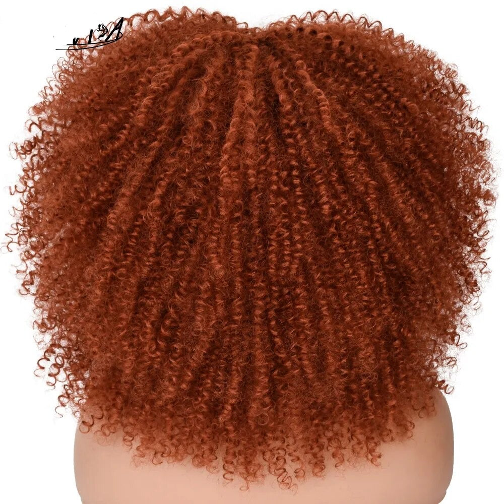 Jaliyah Afro Kinky Curly Wigs