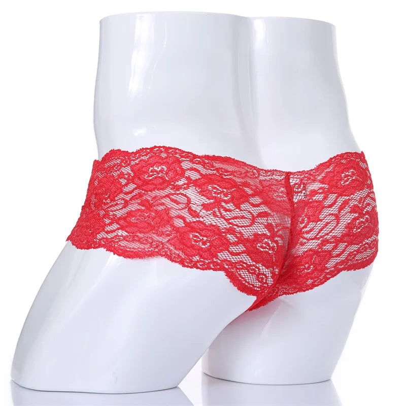 "Sissy Salem" Lace Sissy Panties