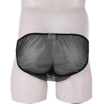 Load image into Gallery viewer, &quot;Sissy Katie&quot; See through Mesh Satin Briefs
