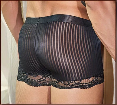 "Sissy Allison" Sheer Striped Lace Lingerie Set – Bra & Panties for Crossdressers
