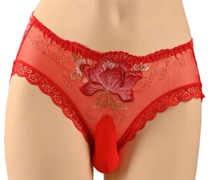 Embroidery Lace Sissy Pouch Panties for Men — Sheer Floral Briefs