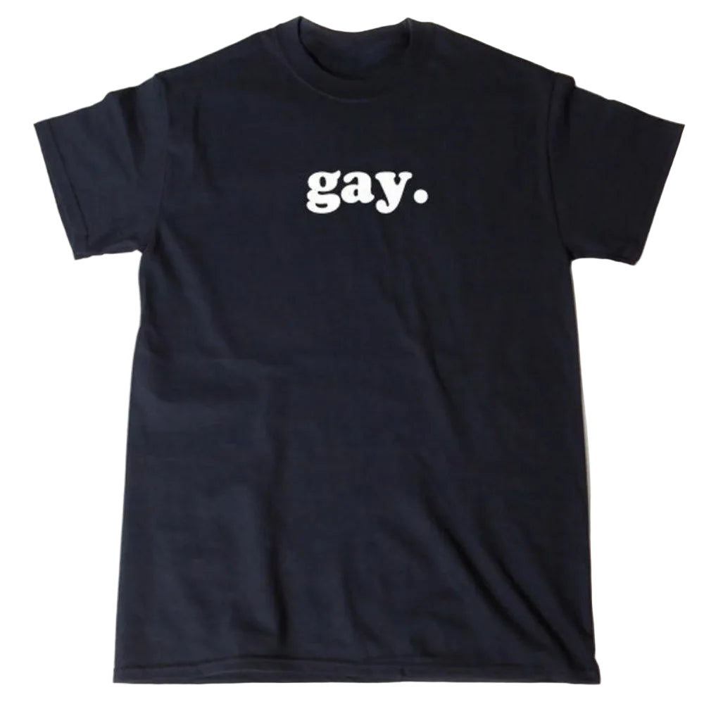 Gay T Shirt. Funny Tee