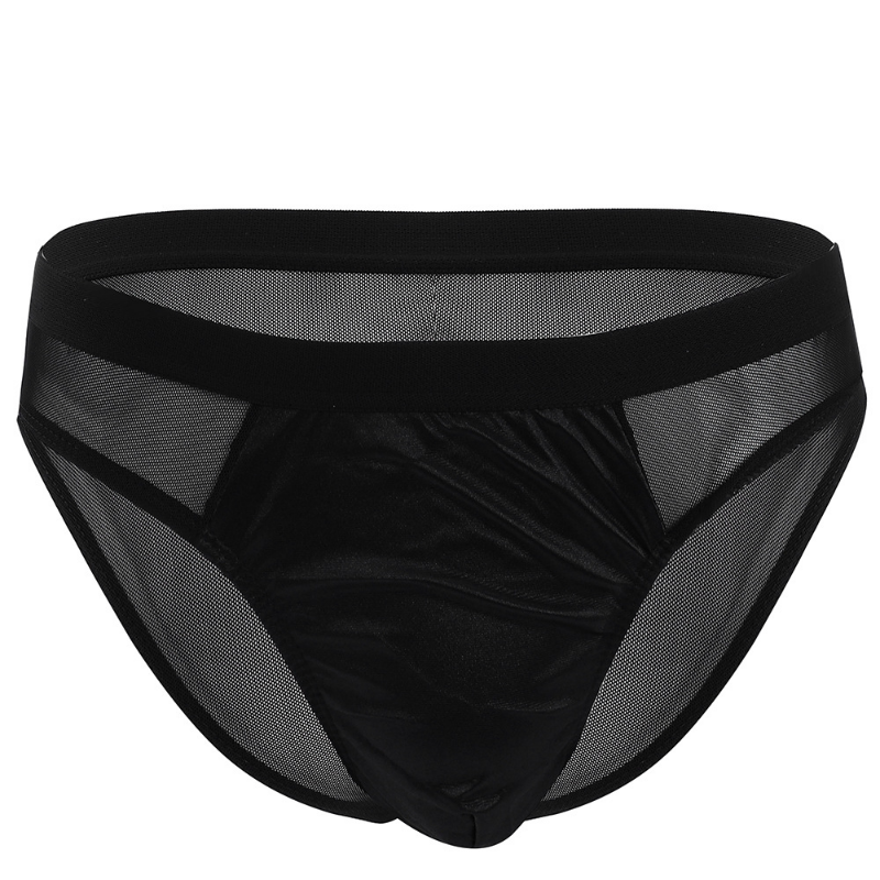 "Sissy Katie" See through Mesh Satin Briefs