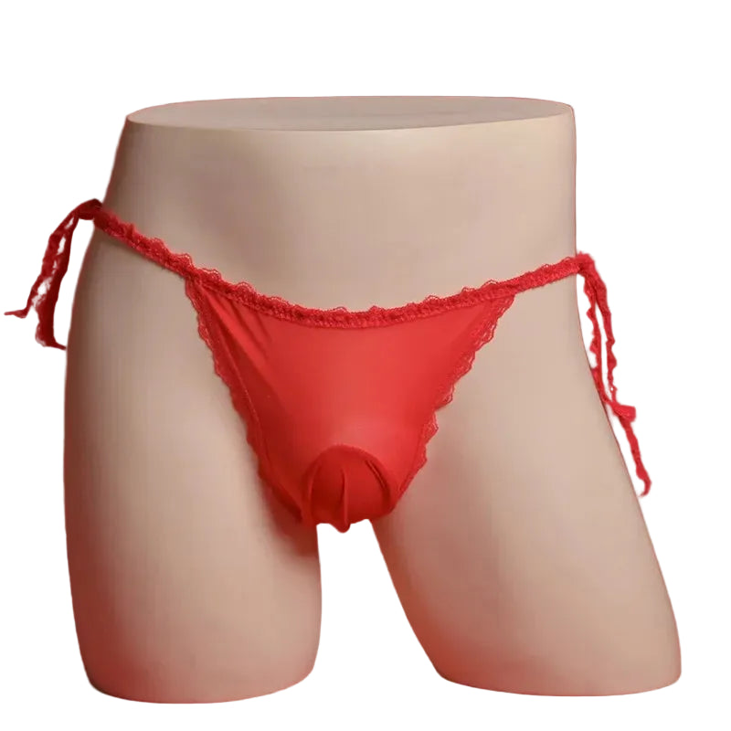 'Sissy Khalani' Sheer Lace Briefs — Shiny Pouch Underwear | Ultra-Thin Silky Lingerie