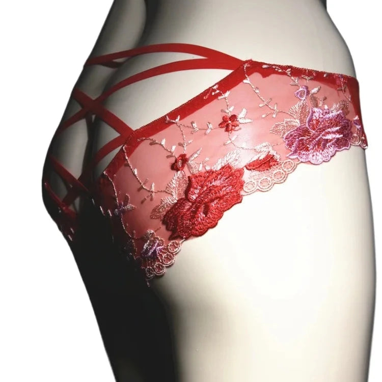 Sissy Embroidery Lace Pouch Briefs for Men — Sheer Floral Bullet Separation Underwear