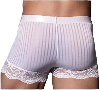 "Sissy Allison" Sheer Striped Lace Lingerie Set – Bra & Panties for Crossdressers