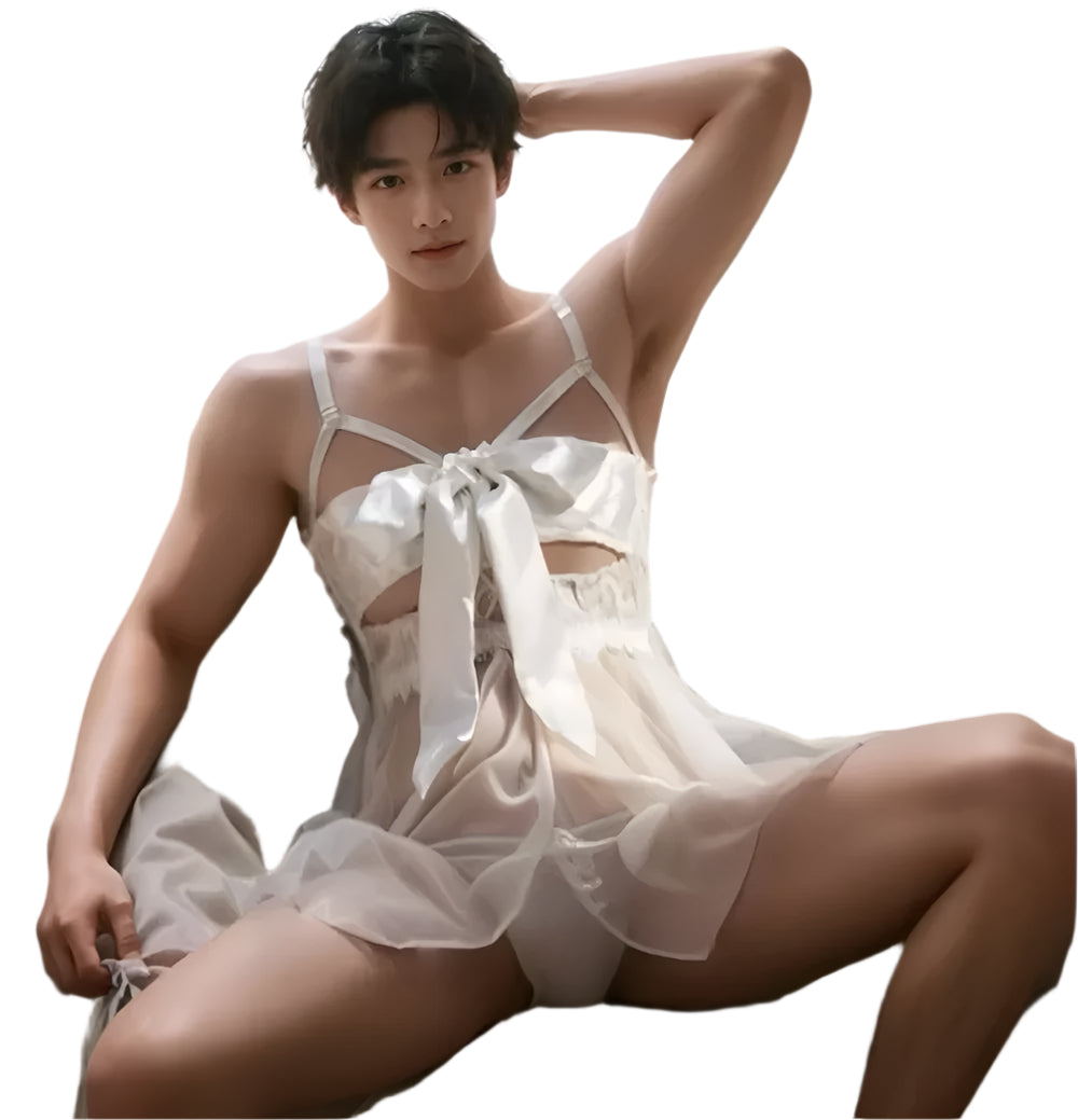 "Sissy Emelia" Sheer Dress Sissy Lingerie