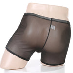 Load image into Gallery viewer, "Sissy Evie" Transparent See-Through Boxers
