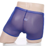 Load image into Gallery viewer, "Sissy Evie" Transparent See-Through Boxers
