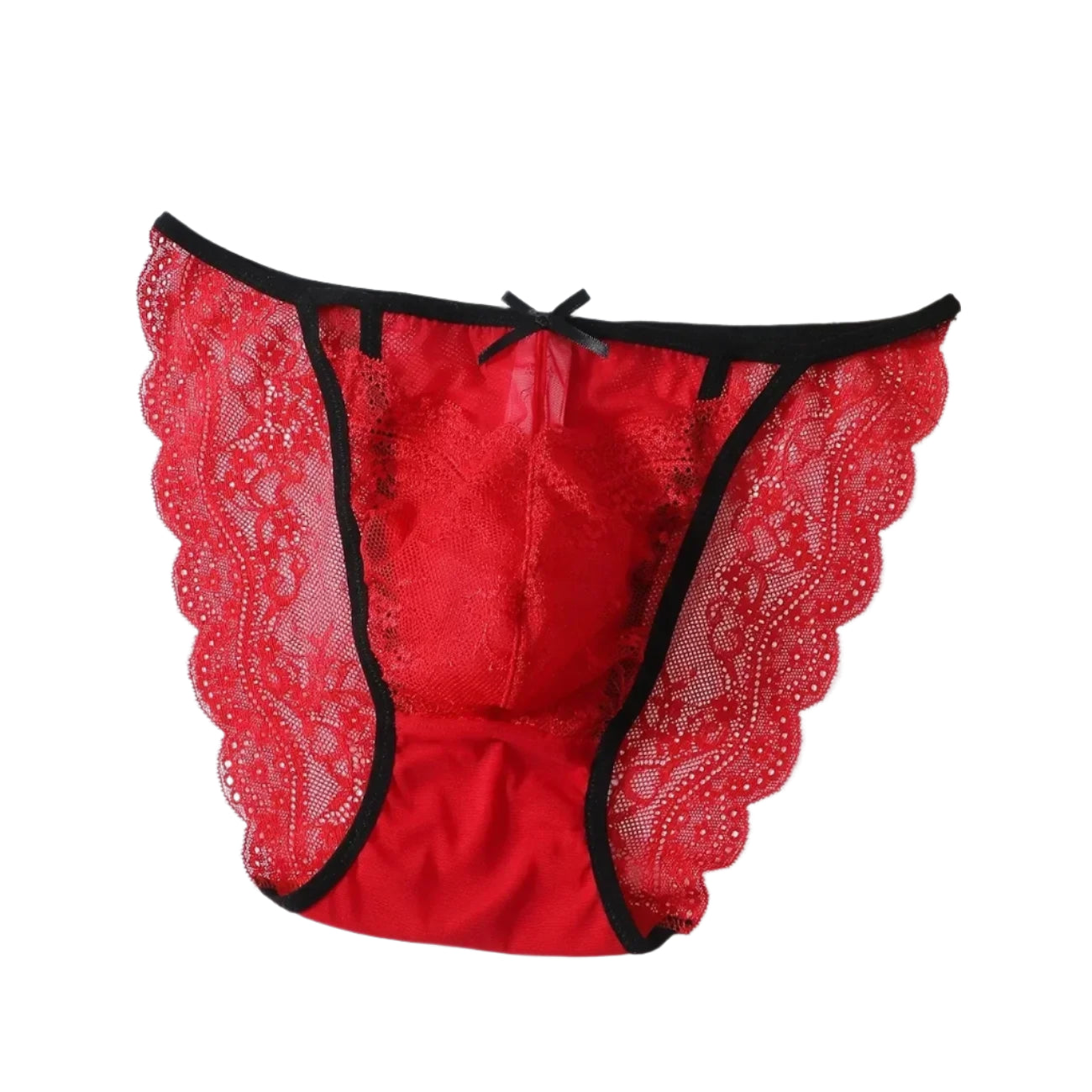 "Sissy Antonella" Lace See Through Briefs