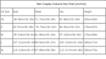 Load image into Gallery viewer, "Sissy Astolfo" Sailor School Uniform Cosplay — Full Set
