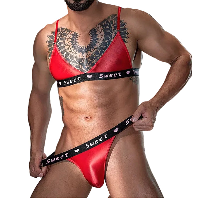 Sheer Tassel Lingerie Set – Sissy Feminization Bra & Brief