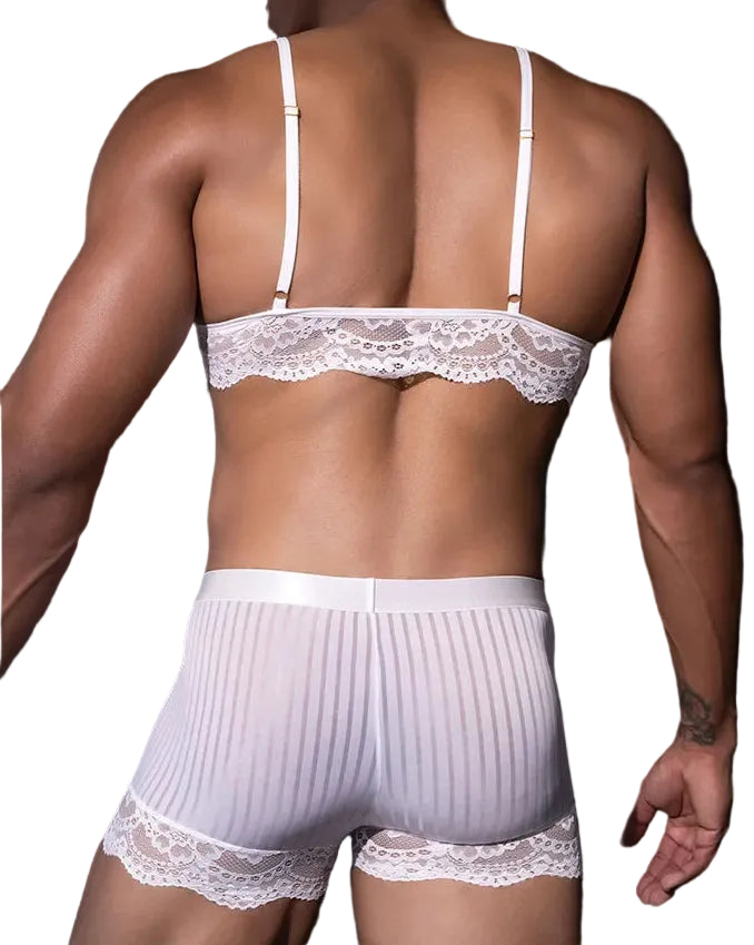"Sissy Allison" Sheer Striped Lace Lingerie Set – Bra & Panties for Crossdressers
