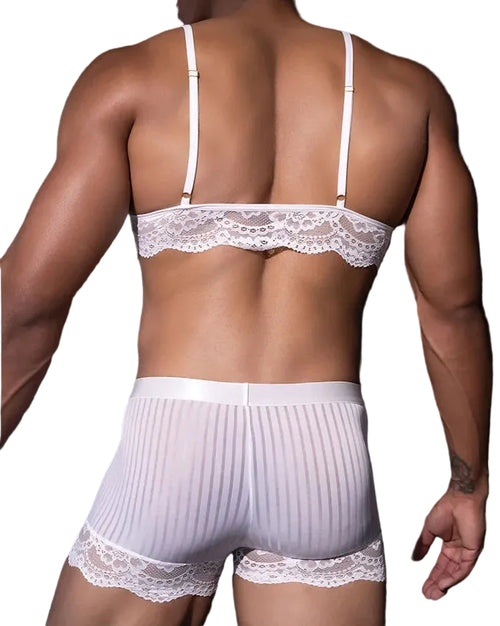 "Sissy Allison" Sheer Striped Lace Lingerie Set – Bra & Panties for Crossdressers
