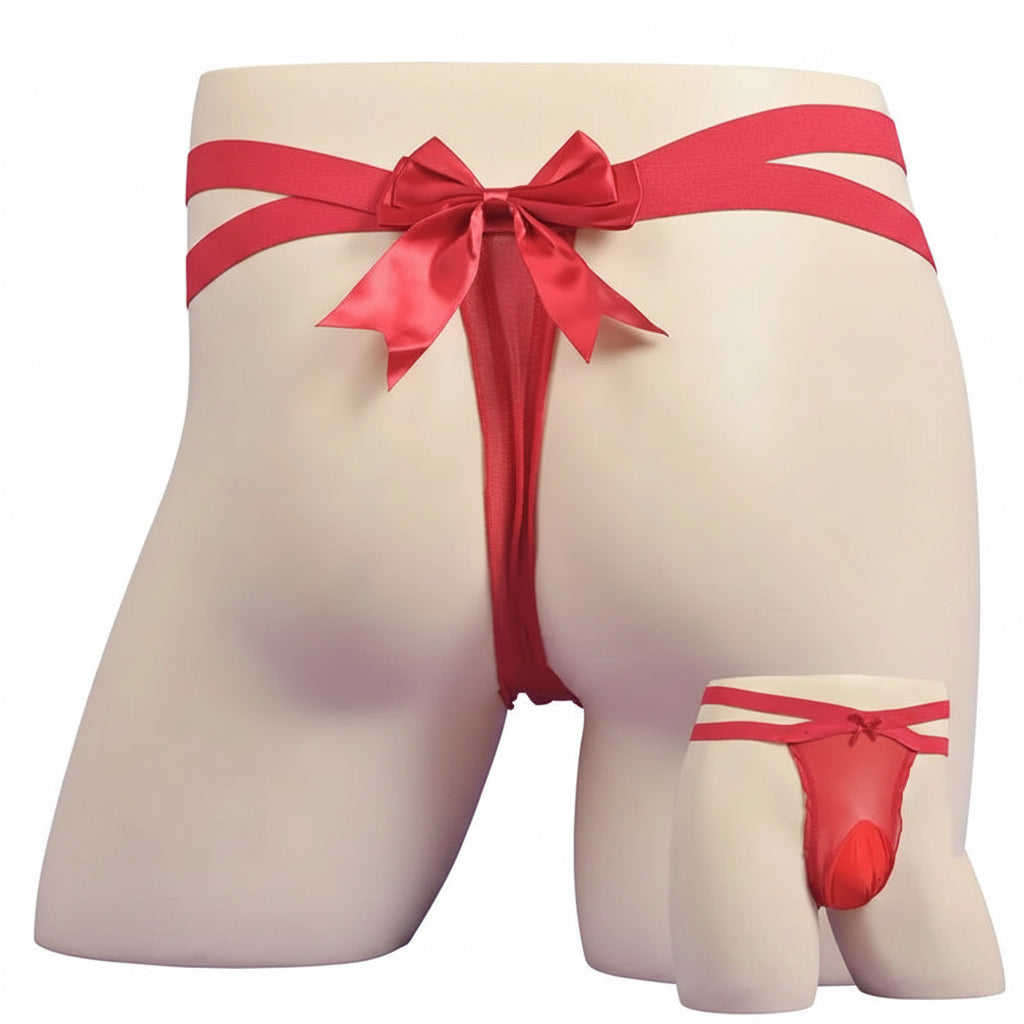 "Sissy Ailanny" Bow G-String Thong — Sheer Mesh Sissy Lingerie for Men