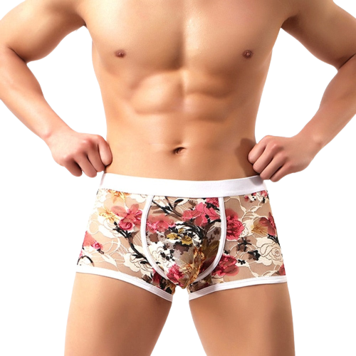 "Sissy Amiyah" Lace Boxer