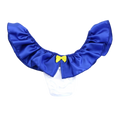 "Sissy Remi" Satin Underwear