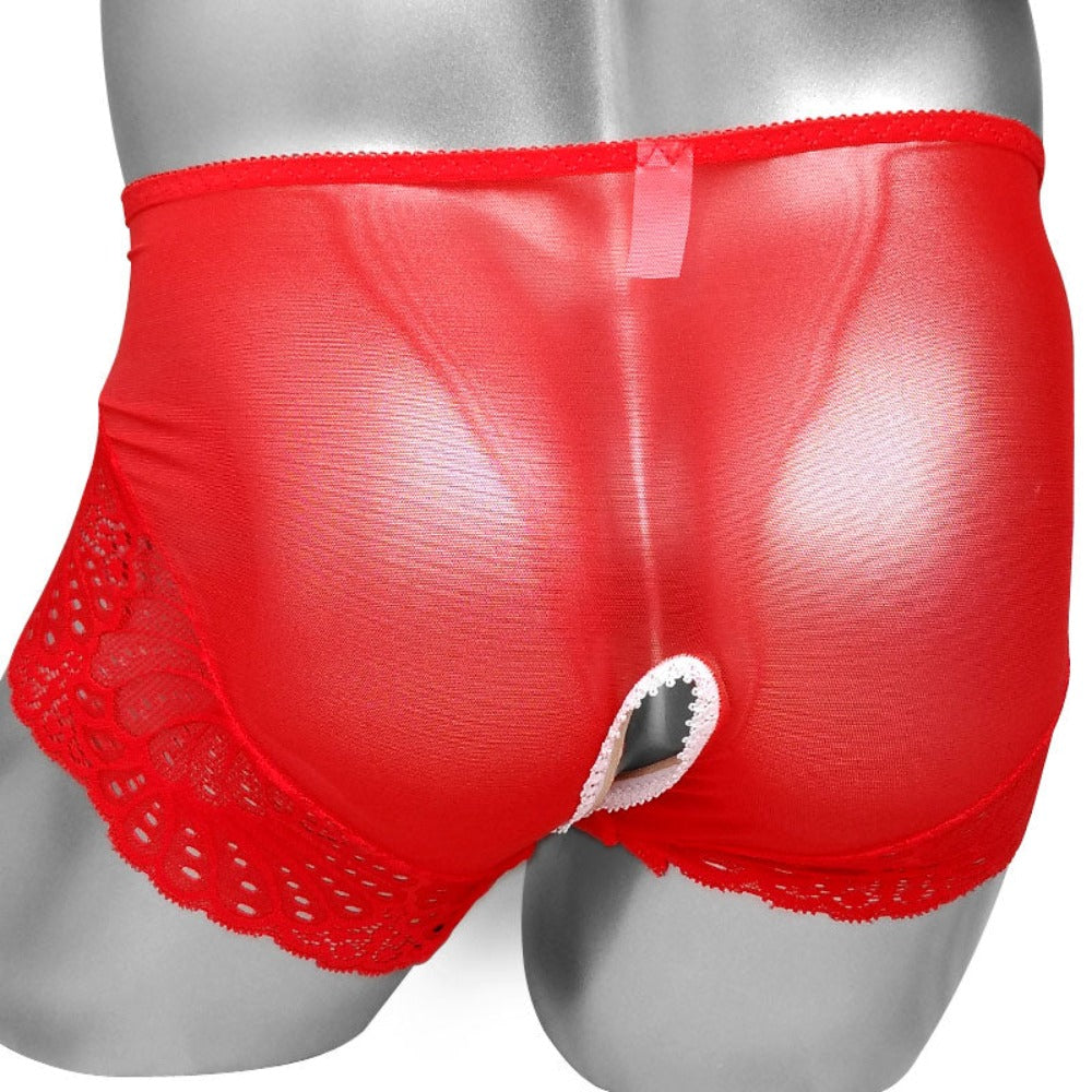 "Sissy Ellery"  See Through  Briefs