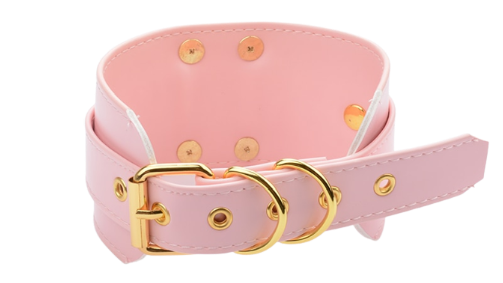 "Sissy Wynter" Fetish Collar