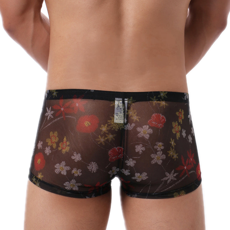 "Sissy Morgan" See Through Boxers