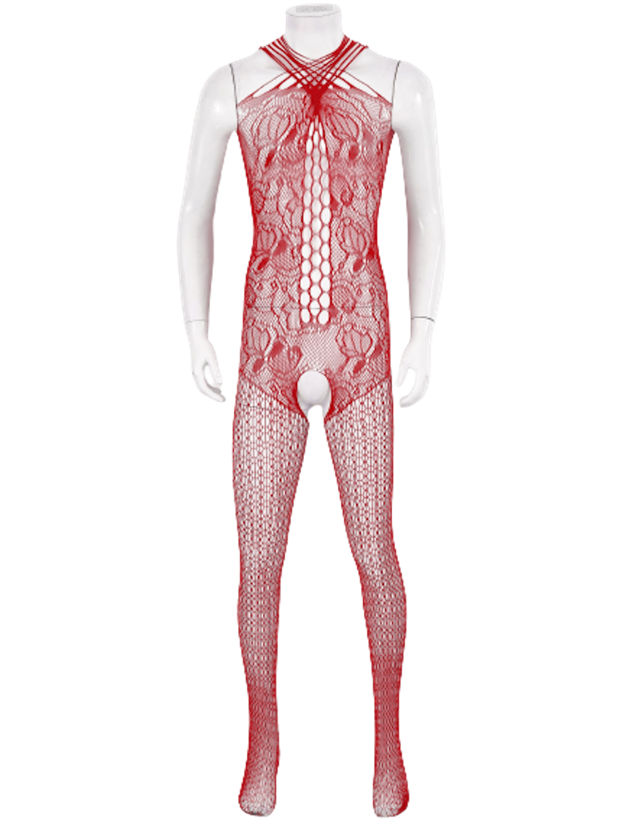 Hollow Out Fishnet Bodysuit