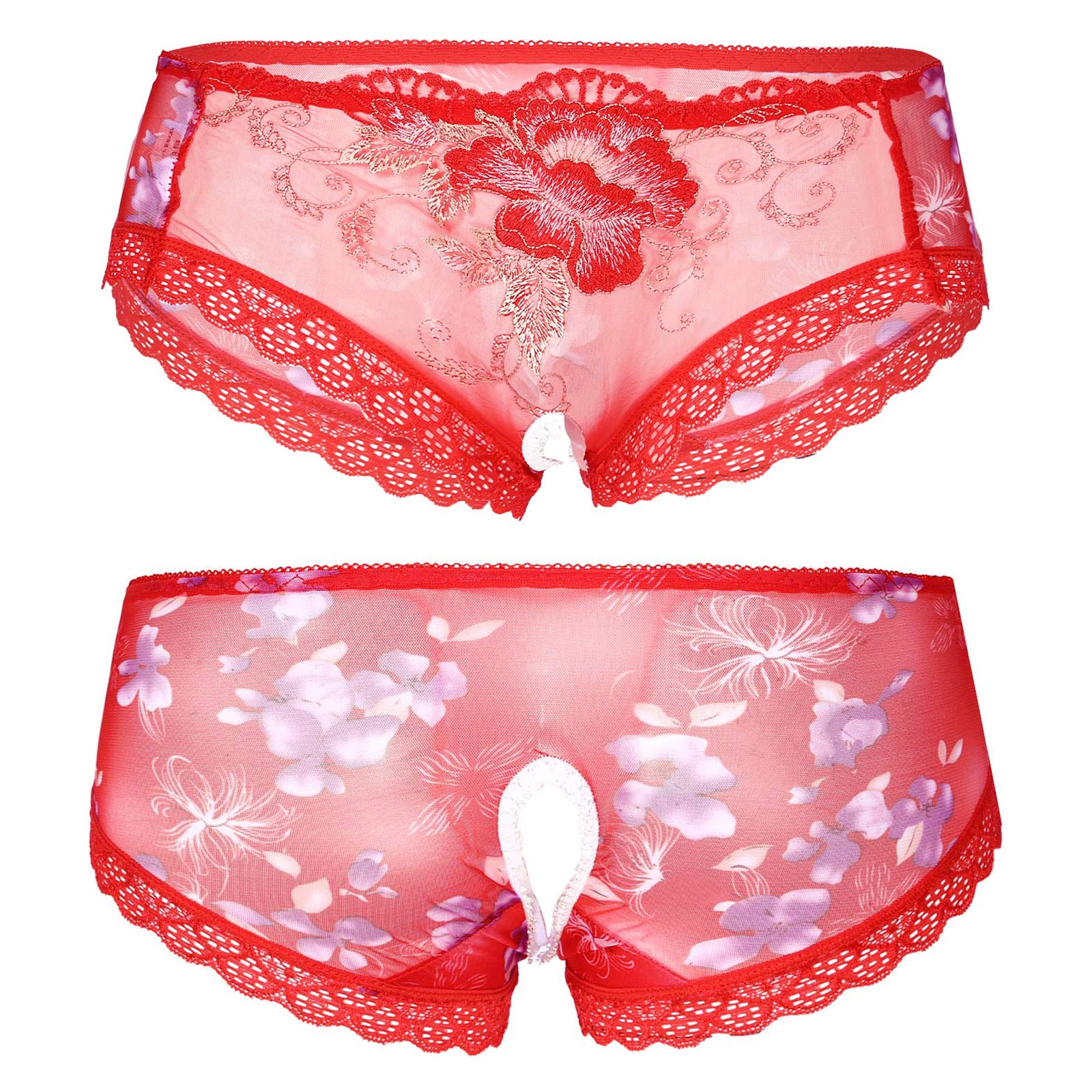 "Sissy Briella"Embroidery Briefs Lingerie for Men