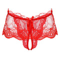 "Sissy Hallie" See-through  Skirted Panties